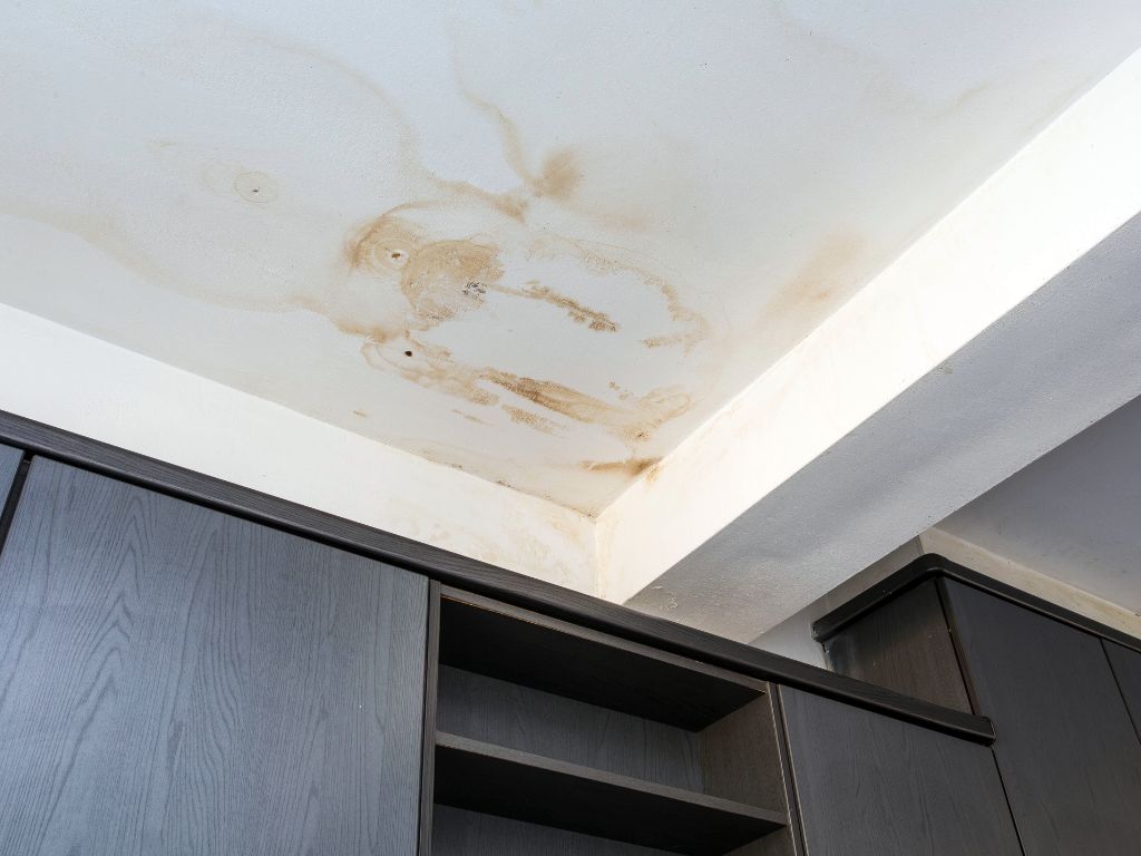Ceiling Leak